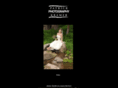 patrickkramerphoto.com
