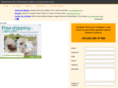 levigaturaparquet.com