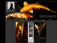 manekidesign.com