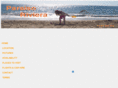 paraisoriviera.com