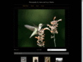 backyard-visions.com