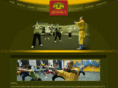 houstonqigong.com