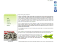 99cash.com