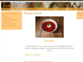 blokhina.com