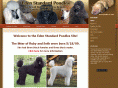 edenstandardpoodles.com