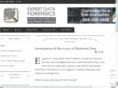 vegascomputerforensics.com