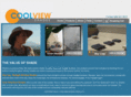 coolviewshades.com