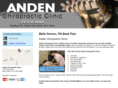 andenchiropracticclinic.com