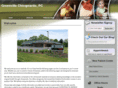 greenvillechiro.net