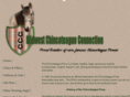 midwestchincoteagueconnection.com