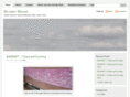 skysweptdesigns.com