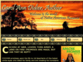 carolanndidier.com