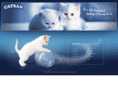 catsan.com