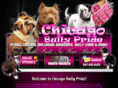 chicagobullypride.info