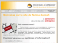 techno-consult.info