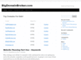 bigdomainbroker.com