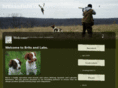 britsandlabs.com