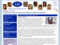 caiquality.com