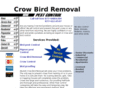 crowbirdremoval.com
