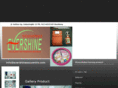 evershinesouvenirs.com