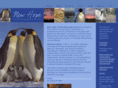 newhopecounselingandservices.com