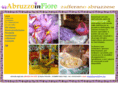 abruzzoinfiore.com