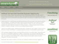 inteliturfranchise.com