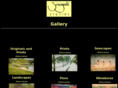 sinisgalliart.com