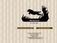 blackmarshlabradors.com