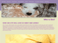 evethepitbull.com