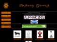 bethanygarrett.com