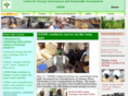 ceesdghana.org