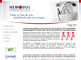 hemosul.com.br