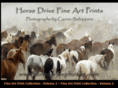 horsedrivephotos.com