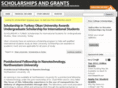 onlinescholarshipsandgrants.com