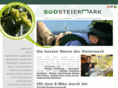 suedsteiermark.com