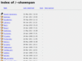 shawnpan.com
