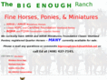 bigenoughranch.com