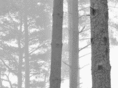 carolinefontaine.net