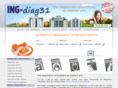 ing-diag31.com