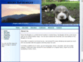 rockytopbeagles.com