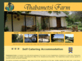 thabametsifarm.co.za