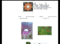thestudioonoldmillcreek.com