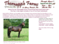kerrybogpony.com