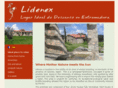 lidenex.com