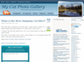 mycatphotogallery.com