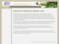 optimumwisdomlabs.com