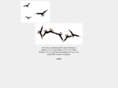 paperflight.com