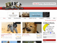 puppydogphotos.com