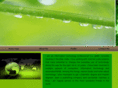 ziaquadree.com